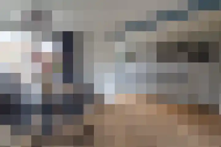Flierakkers 4 Vroomshoop thumbnail 10
