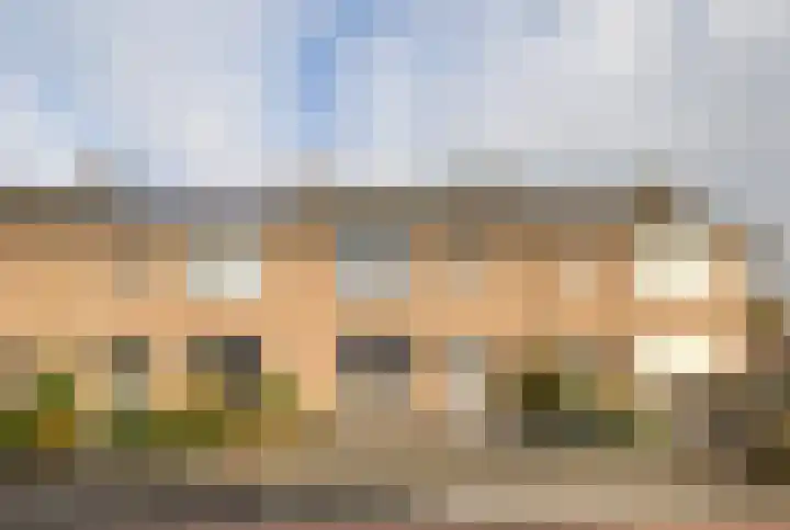 Flierakkers 4 Vroomshoop thumbnail 16