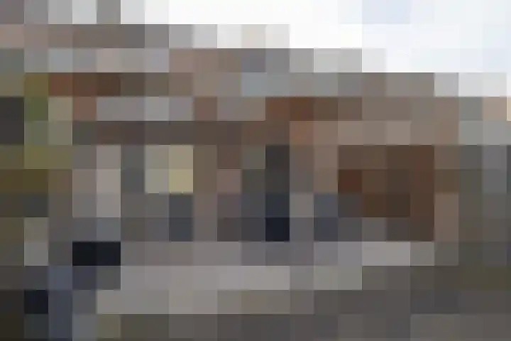 Flierakkers 4 Vroomshoop thumbnail 17