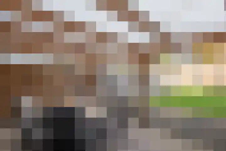 Flierakkers 4 Vroomshoop thumbnail 19