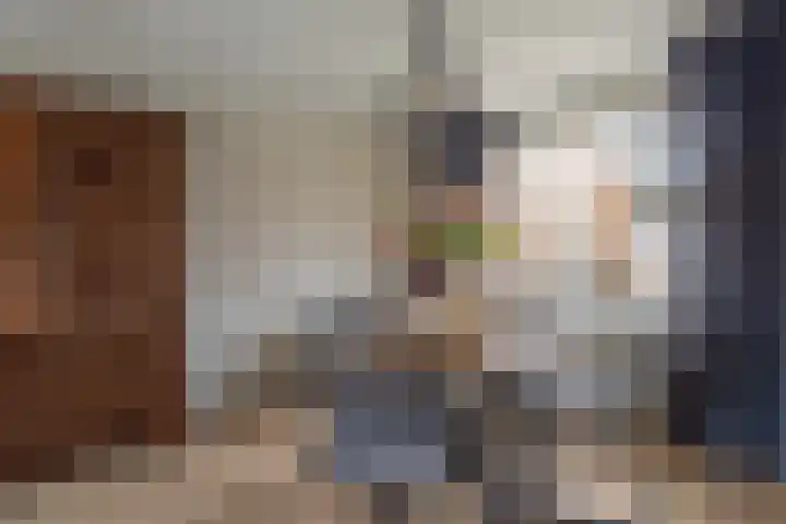 Flierakkers 4 Vroomshoop thumbnail 9