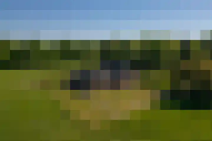 Flierderweg 8 b Eefde foto 2