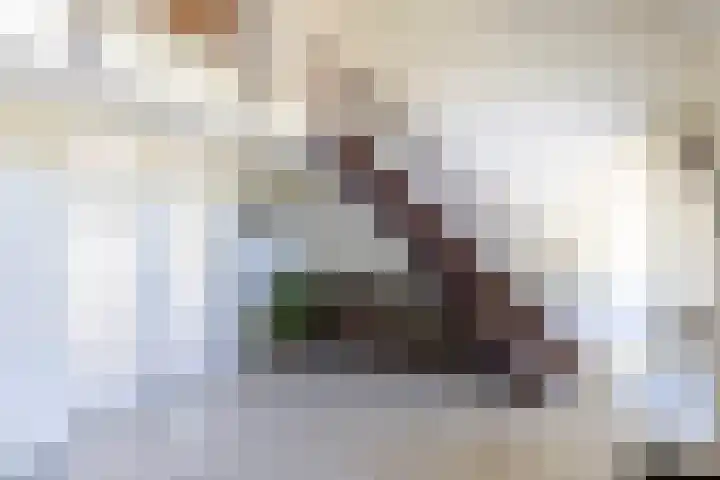Flierderweg 8 b Eefde thumbnail 24