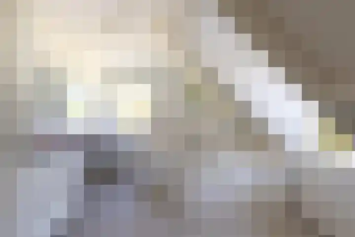 Flierderweg 8 b Eefde thumbnail 26