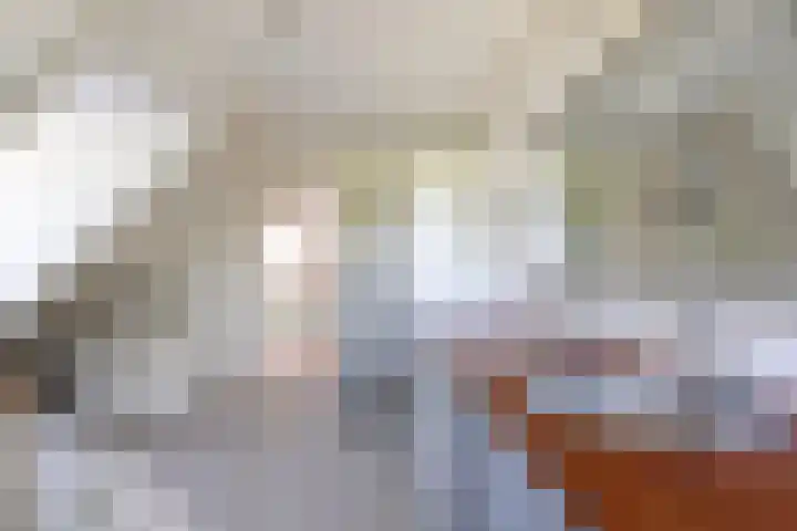 Flierderweg 8 b Eefde thumbnail 27