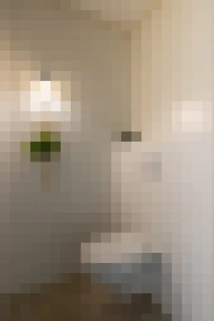 Flierderweg 8 b Eefde thumbnail 34