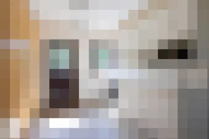 Flierderweg 8 b Eefde thumbnail 36