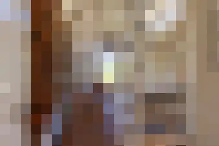 Flierderweg 8 b Eefde thumbnail 39