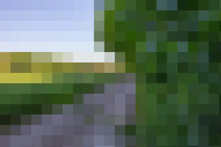 Flierderweg 8 b Eefde thumbnail 4