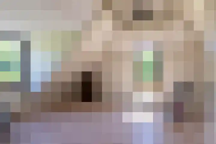 Flierderweg 8 b Eefde thumbnail 44