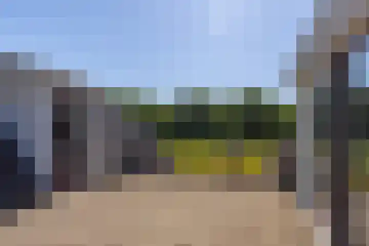 Flierderweg 8 b Eefde thumbnail 45