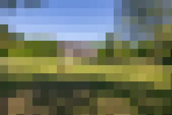 Flierderweg 8 b Eefde thumbnail 46
