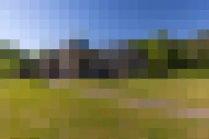 Flierderweg 8 b Eefde thumbnail 47