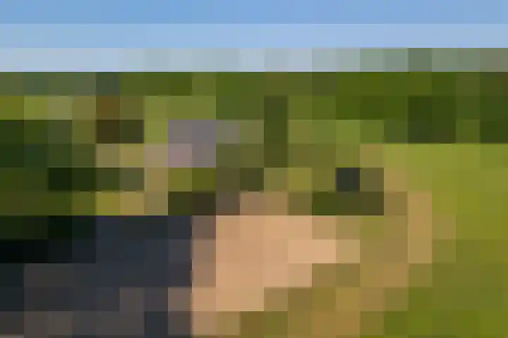 Flierderweg 8 b Eefde thumbnail 48