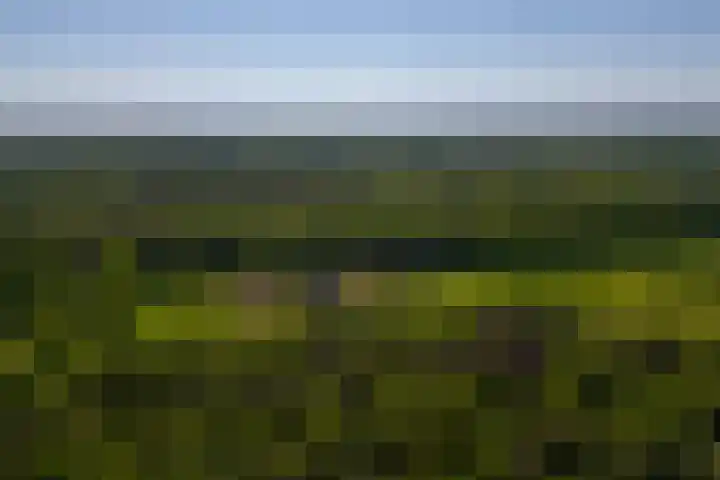 Flierderweg 8 b Eefde thumbnail 49