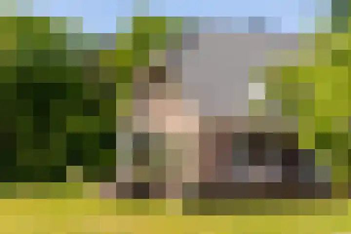 Flierderweg 8 b Eefde thumbnail 5