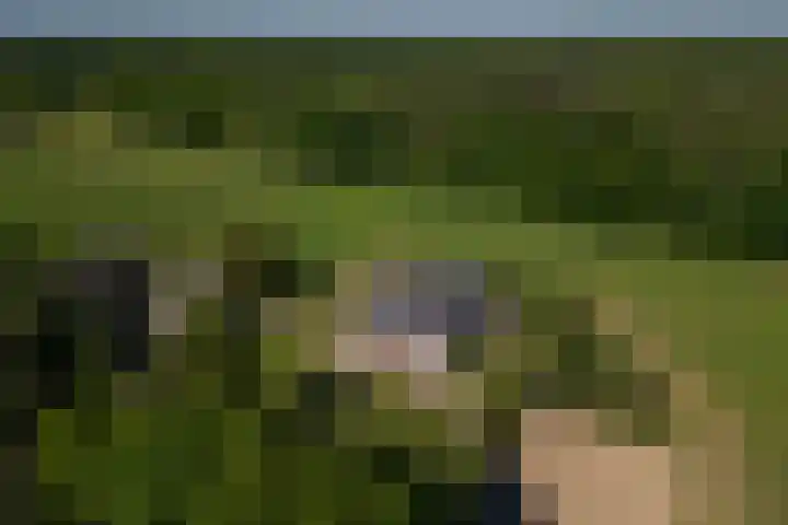 Flierderweg 8 b Eefde thumbnail 51