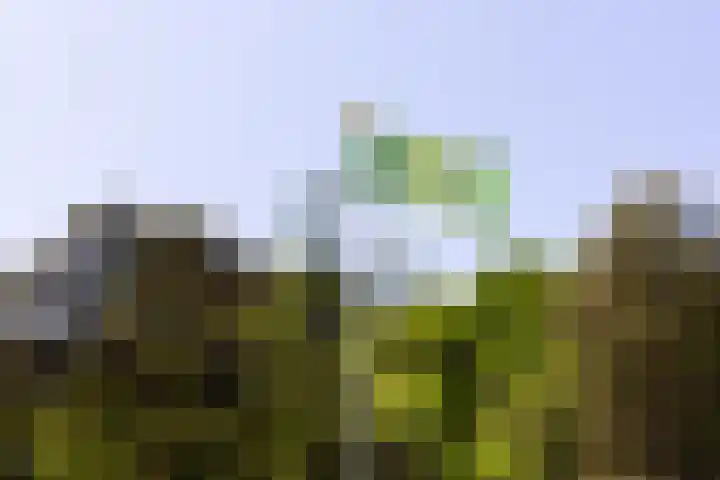 Flierderweg 8 b Eefde thumbnail 52