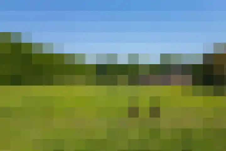 Flierderweg 8 b Eefde thumbnail 53