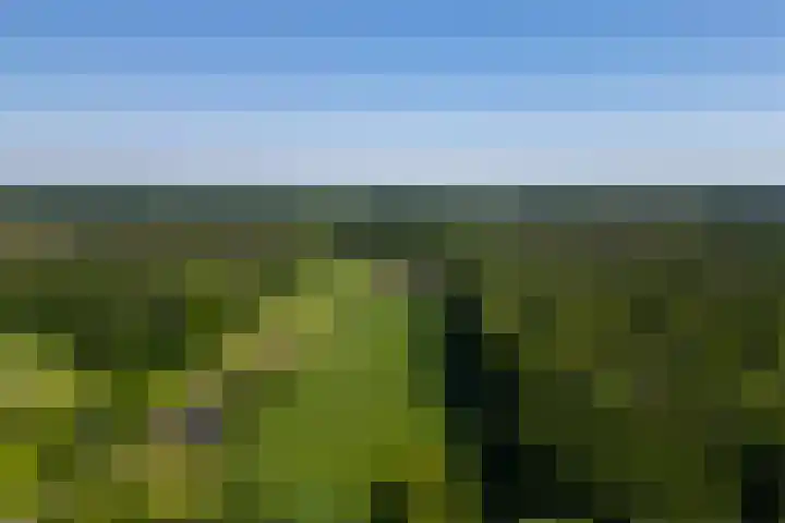 Flierderweg 8 b Eefde thumbnail 54