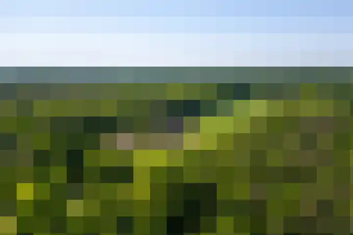 Flierderweg 8 b Eefde thumbnail 55