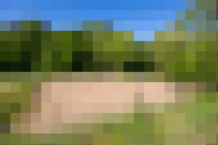 Flierderweg 8 b Eefde thumbnail 56