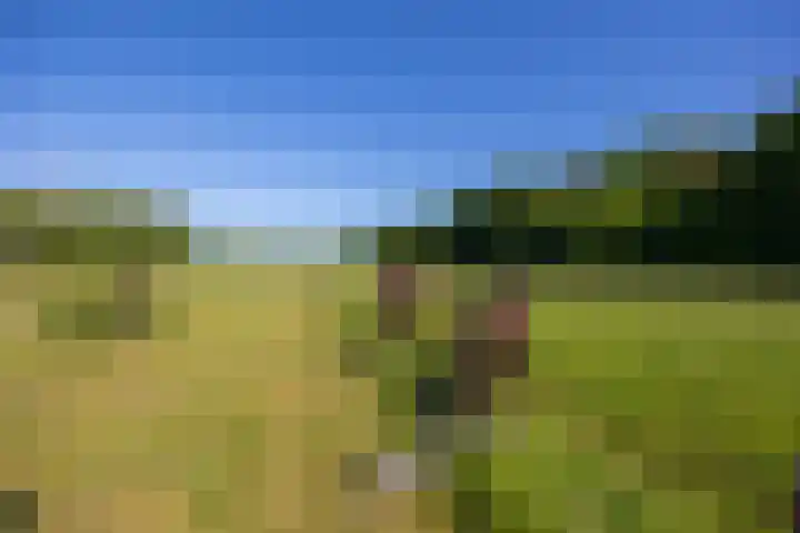 Flierderweg 8 b Eefde thumbnail 57