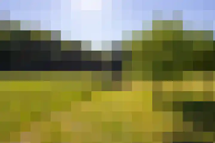 Flierderweg 8 b Eefde thumbnail 58