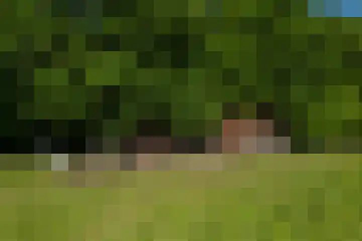 Flierderweg 8 b Eefde thumbnail 59