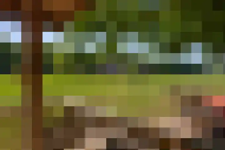 Flierderweg 8 b Eefde thumbnail 61