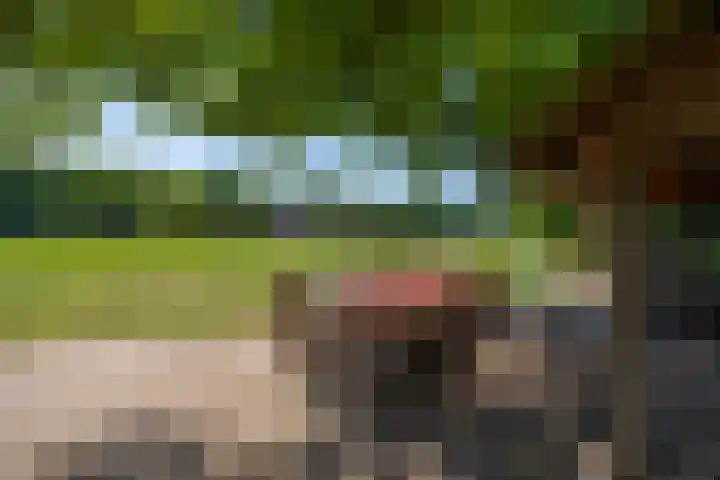 Flierderweg 8 b Eefde thumbnail 62