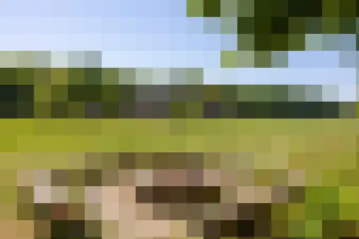 Flierderweg 8 b Eefde thumbnail 65