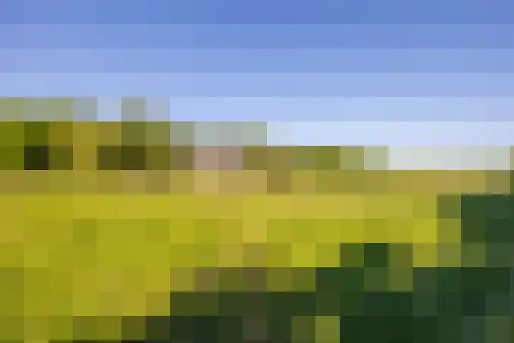 Flierderweg 8 b Eefde thumbnail 66