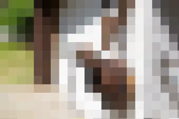 Flierderweg 8 b Eefde thumbnail 69