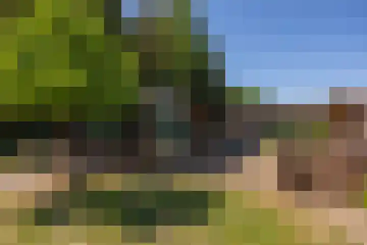 Flierderweg 8 b Eefde thumbnail 72