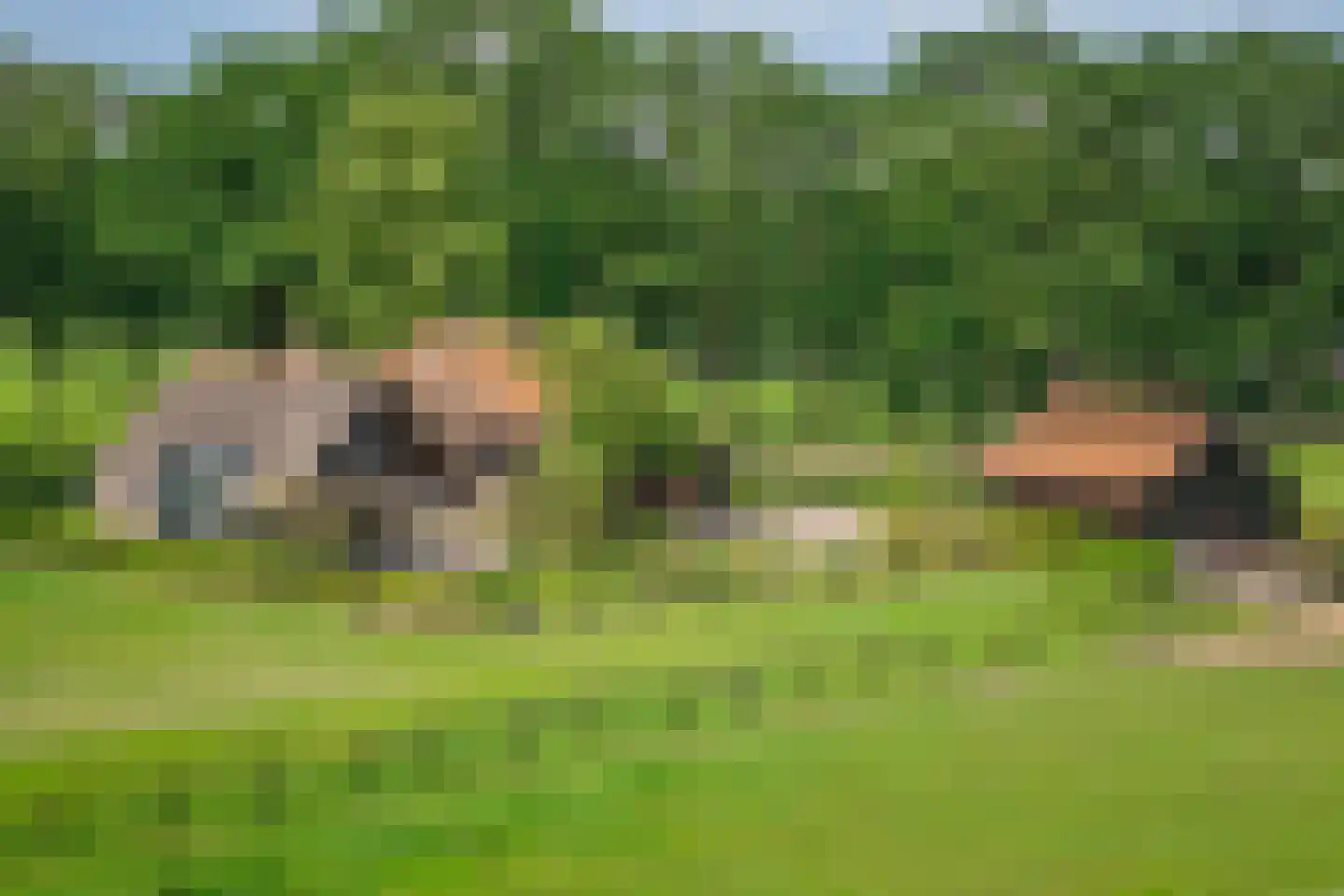 Flierdijk 1 Barchem thumbnail 23