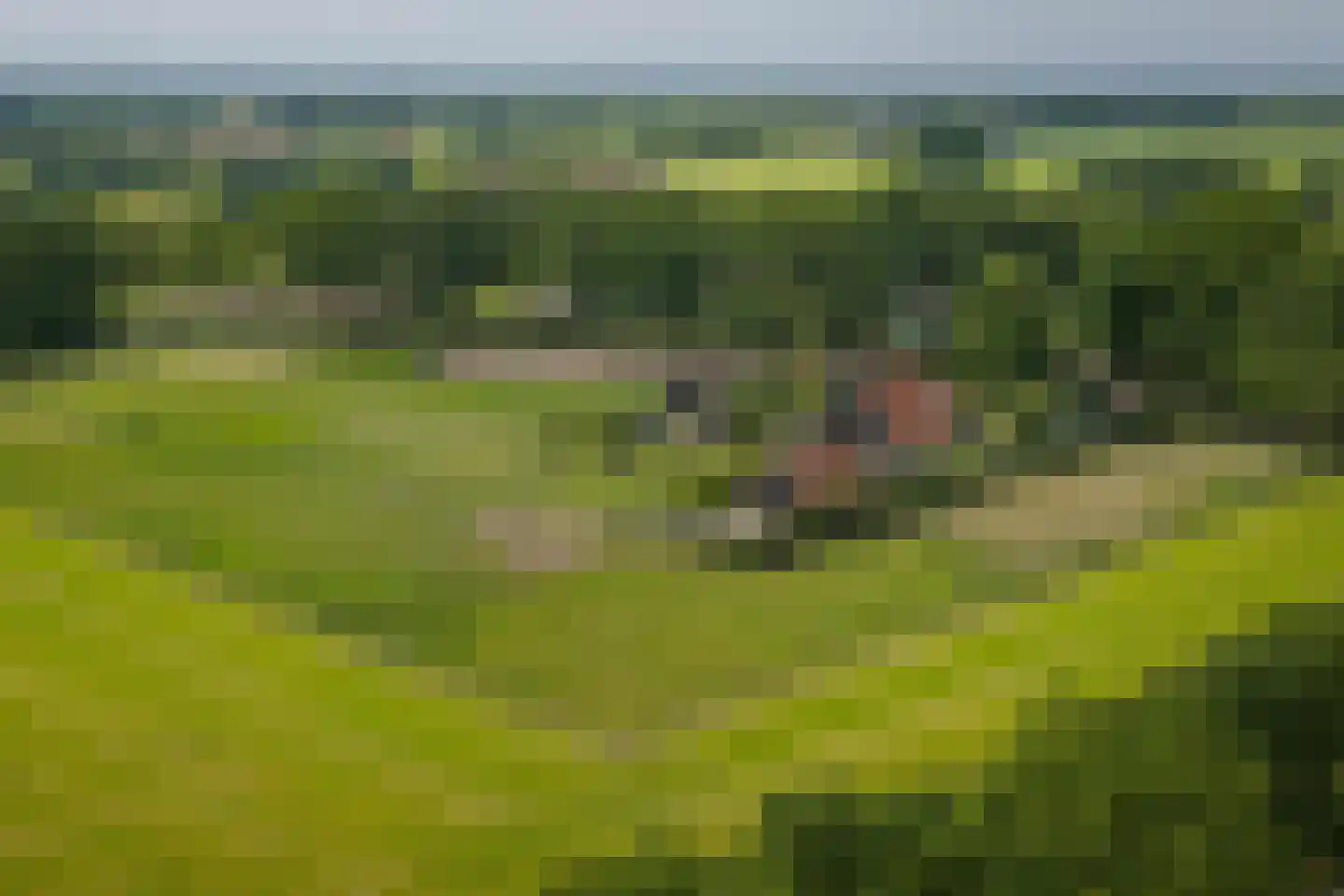 Flierdijk 1 Barchem thumbnail 40