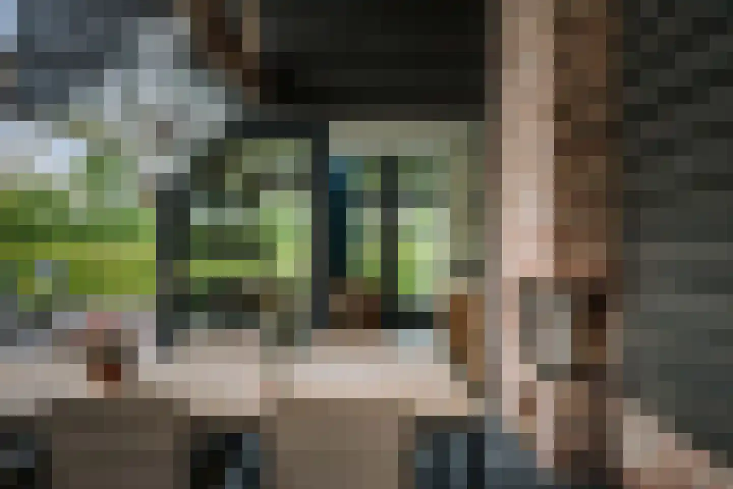 Flierdijk 1 Barchem thumbnail 50