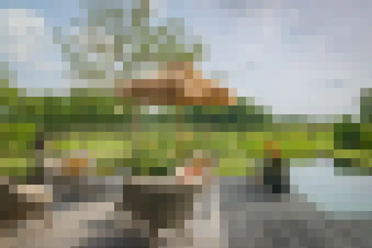 Flierdijk 1 Barchem thumbnail 52