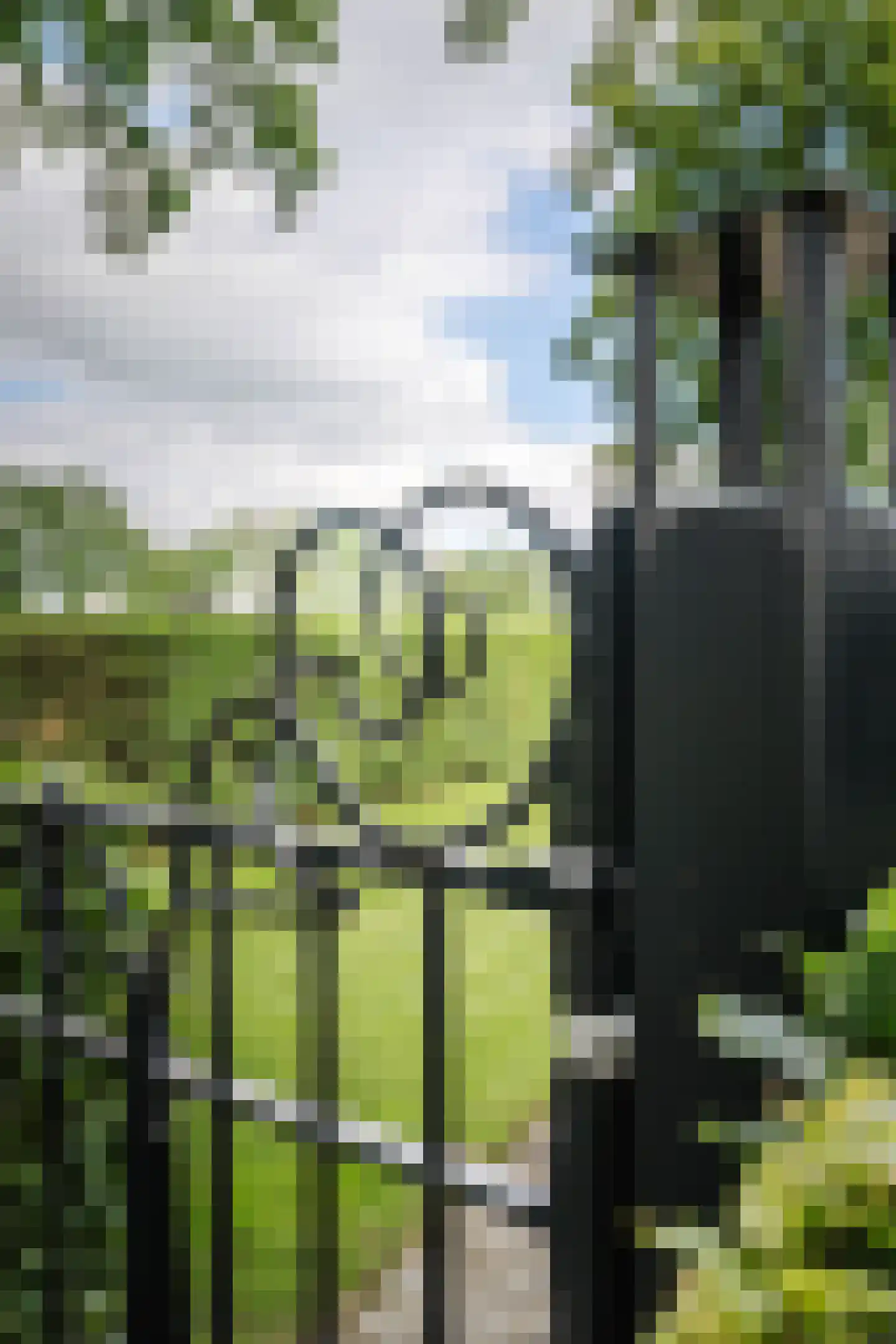 Flierdijk 1 Barchem thumbnail 72