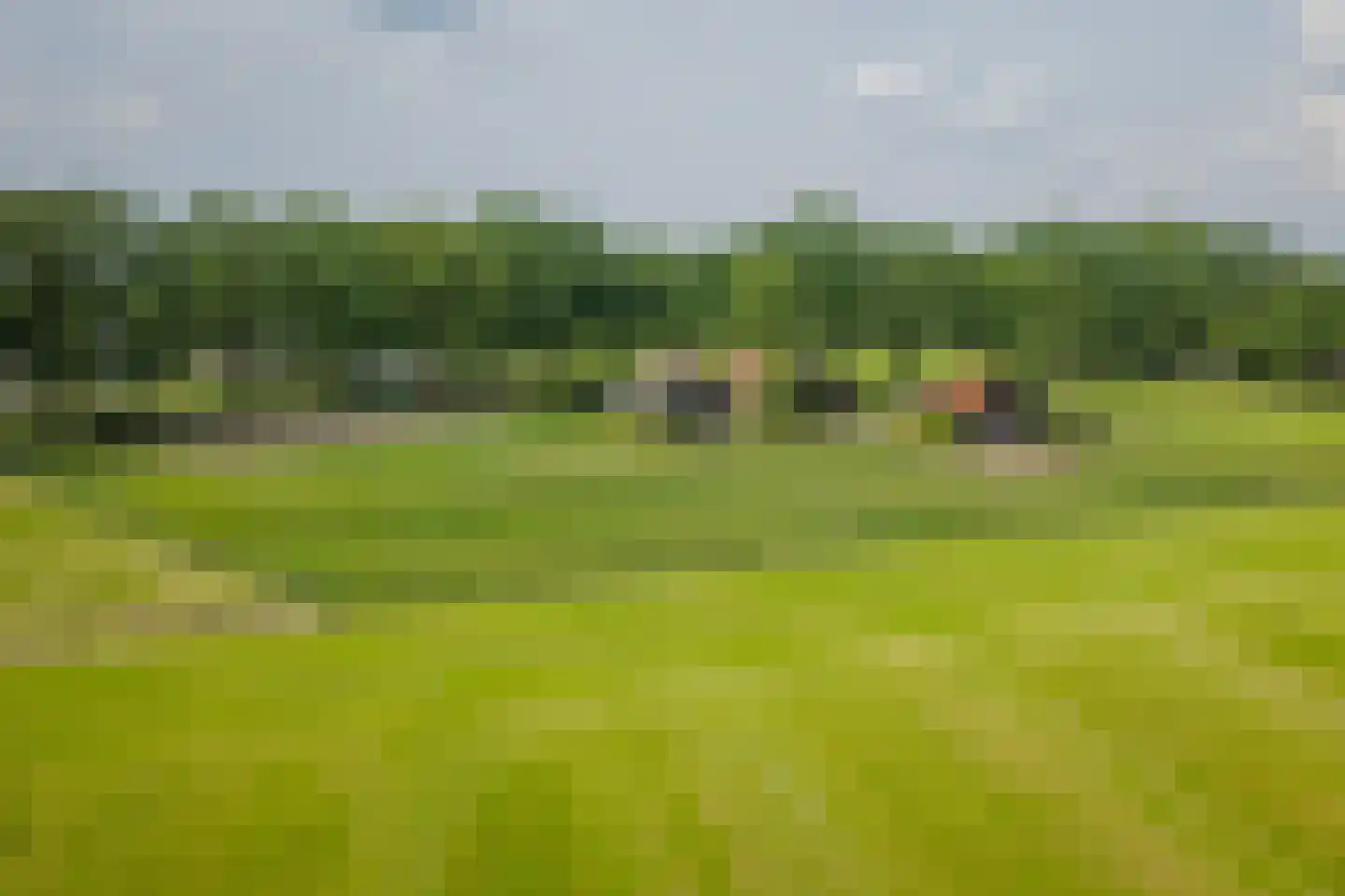Flierdijk 1 Barchem thumbnail 74