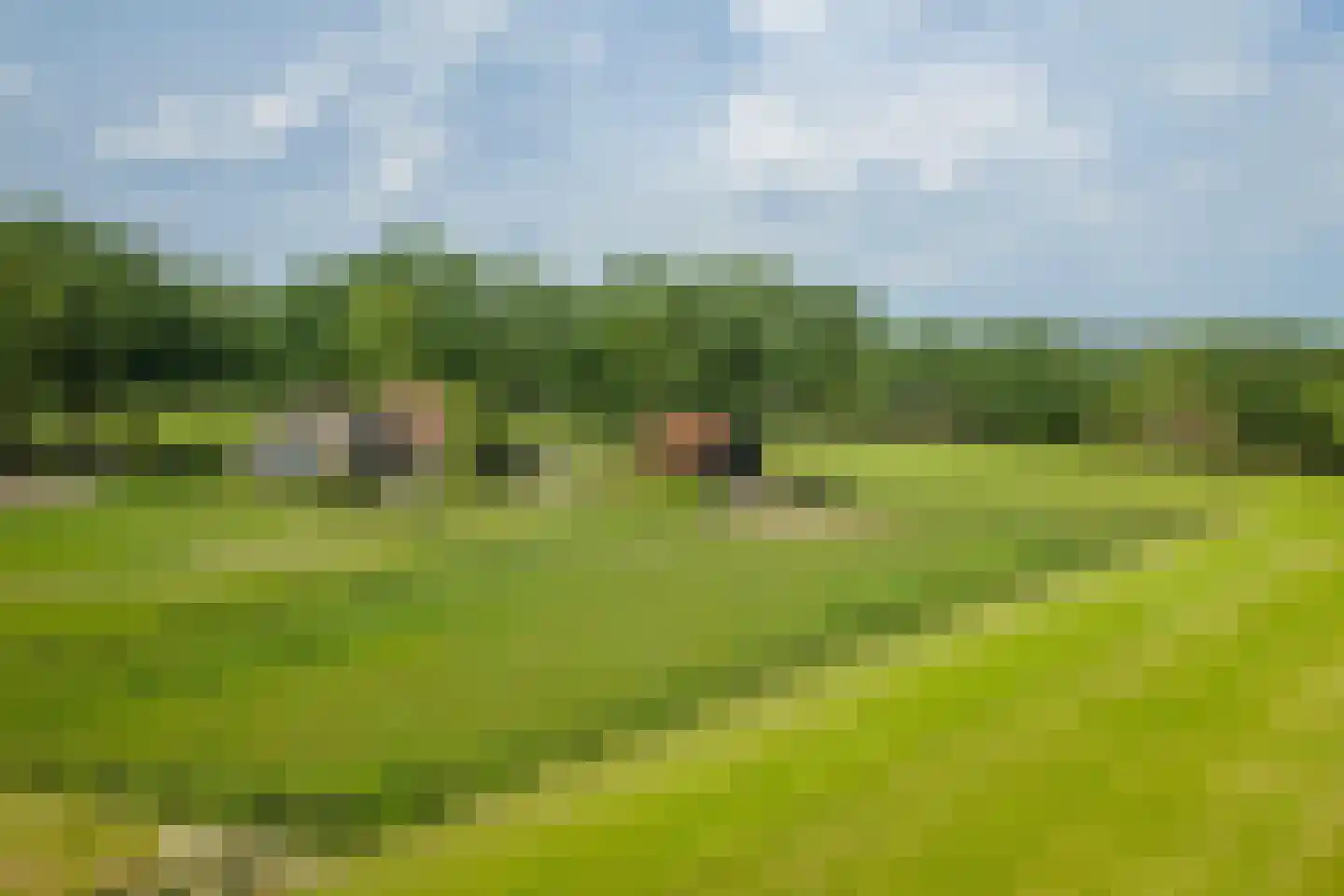 Flierdijk 1 Barchem thumbnail 75