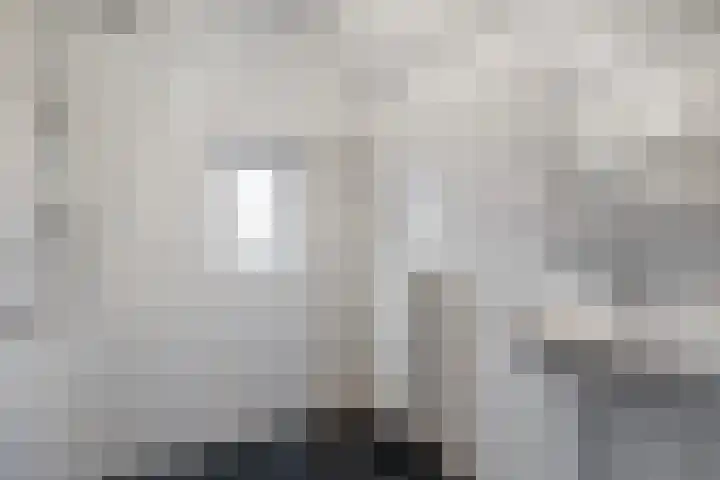 Flierdijk 3 rw22 Den Ham thumbnail 30