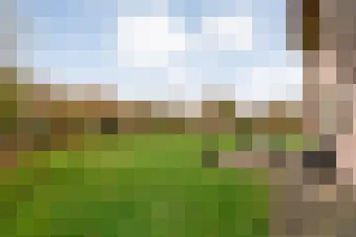 Flierdijk 3 rw22 Den Ham thumbnail 33
