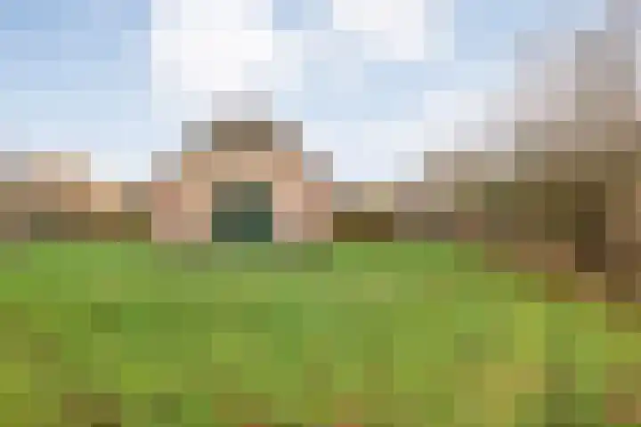 Flierdijk 3 rw22 Den Ham thumbnail 35