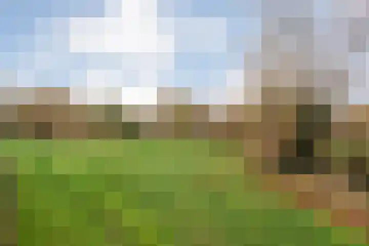 Flierdijk 3 rw22 Den Ham thumbnail 36