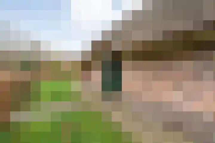 Flierdijk 3 rw22 Den Ham thumbnail 5