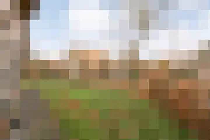 Flierdijk 3 rw22 Den Ham thumbnail 6