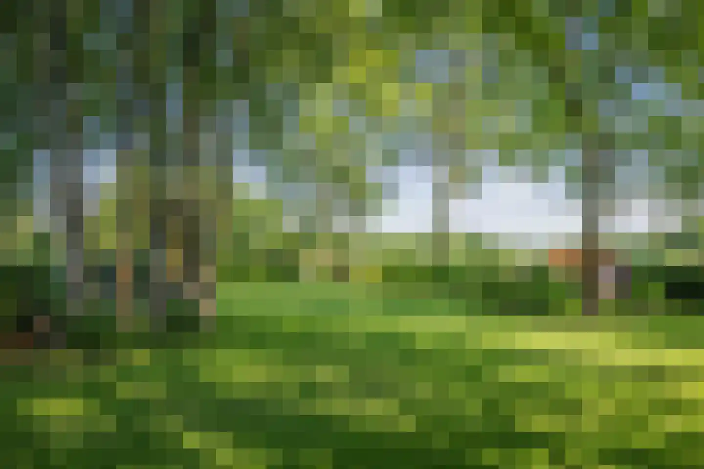 Flierdijk 6 Barchem thumbnail 11