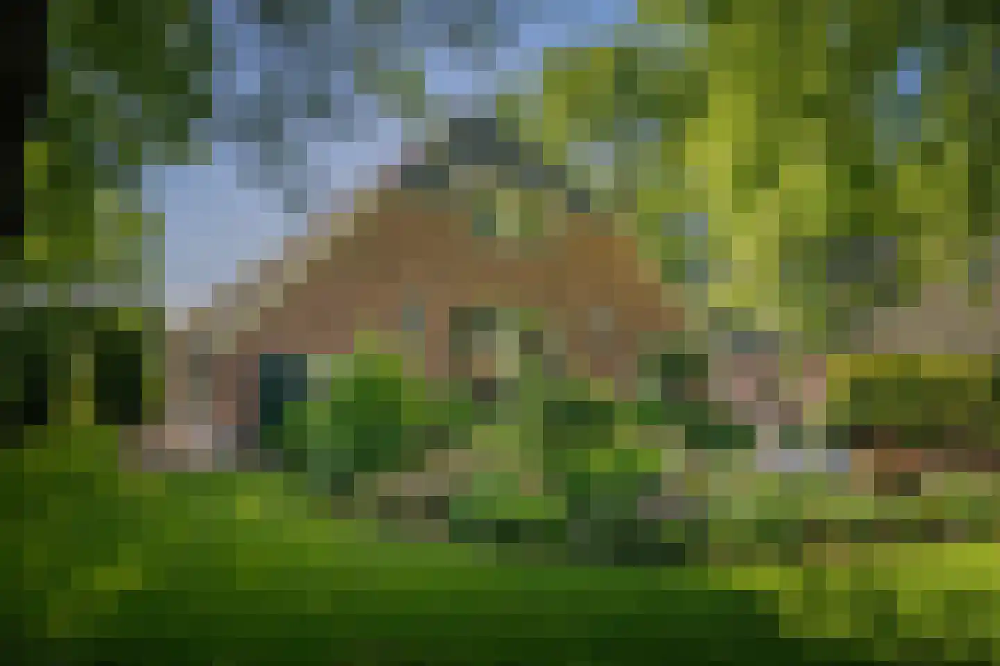 Flierdijk 6 Barchem thumbnail 5